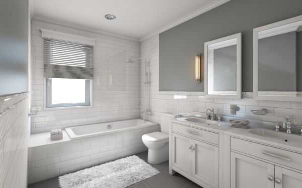 Cost of Restroom Remodeling in Cary