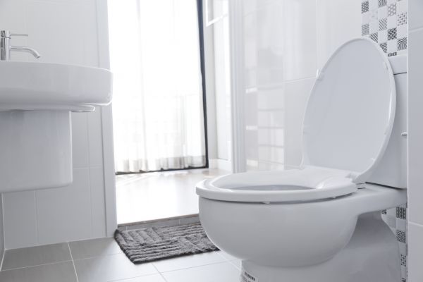 Cost of Toilet Relocation in Cary